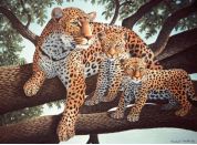 Creatoys Malování velké Royal Leopard s mláďaty