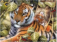 Creatoys Malování velké Royal Tygr a mládě