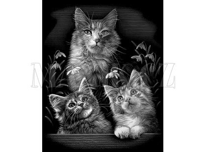 Creatoys Reeves Škrábací obrázek stříbrný 20x25cm - Kočky