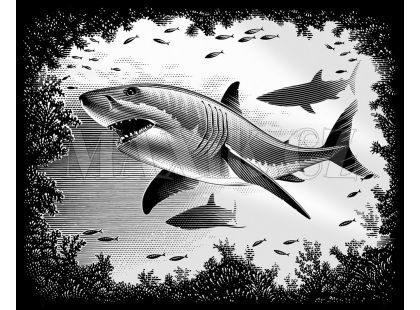 Creatoys Reeves Škrábací obrázek stříbrný 20x25cm - Žralok