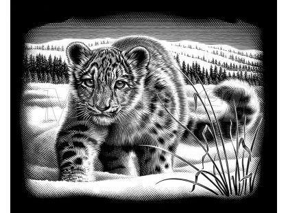 Creatoys Reeves Škrábací obrázek stříbrný 20x25cm - Sněžný leopard