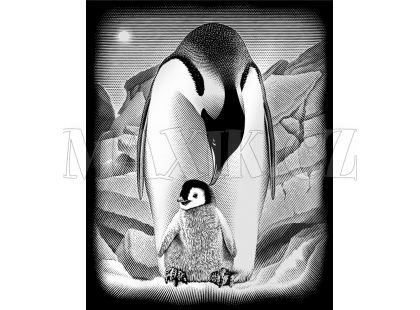 Creatoys Reeves Škrábací obrázek stříbrný 20x25cm - Tučňáci