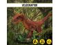 Cubicfun 3D Puzzle Velociraptor 63 dílků 2