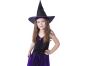 Rappa Dětský kostým Čarodějnice s kloboukem fialové vel. 104 - 116 cm 2