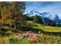 Dino Bavorské Alpy puzzle 1500 dílků 2