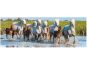 Dino Camargští koně panoramic puzzle 150 dílků 2