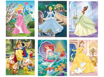 Dino Disney Princess Kubus Princezny 20dílků