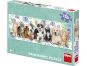 Dino Psi a kočky 150 dílků panoramic puzzle 2
