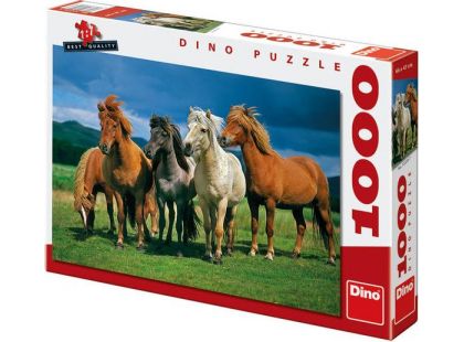 Dino Puzzle Islandští koně 1000dílků