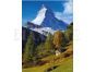 Dino Puzzle Matterhorn 1500dílků 2