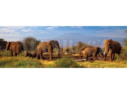 Dino Puzzle Panoramic Stádo slonů 1000dílků