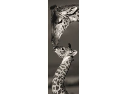Dino Puzzle Panoramic Žirafy 1000 dílků
