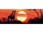 Dino Puzzle Panoramic Žirafy při západu Slunce 1000 dílků 2