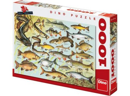 Dino Puzzle Ryby 1000dílků
