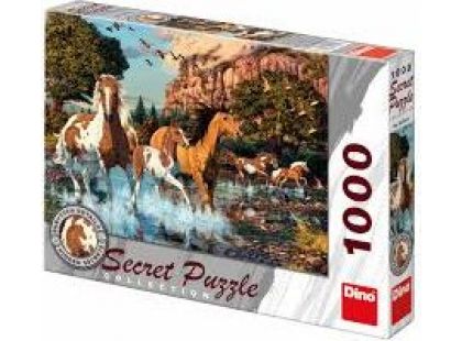 Dino Puzzle Secret Collection Koně 1000dílků