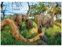 Dino Puzzle Sloni z Botswany 1000dílků 2