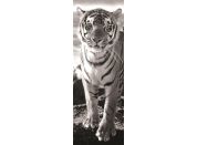 Dino Puzzle panoramatic Tygr 1000 dílků