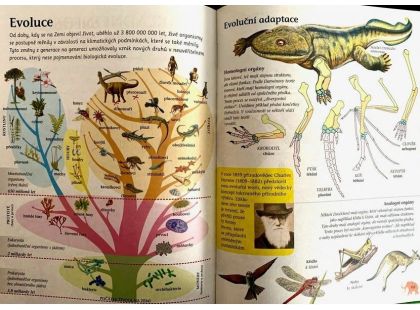 Dinosauři a jiná prehistorická zvířata
