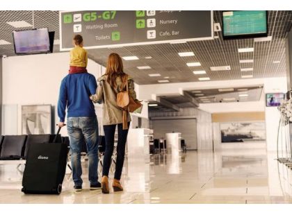 Diono Kočárek Traverze Travel Grey Linear