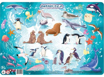 DoDo Puzzle Zvířata Antarktida 53 dílků