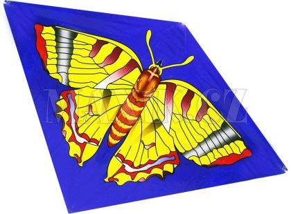 Drak létající 2 druhy - Motýl