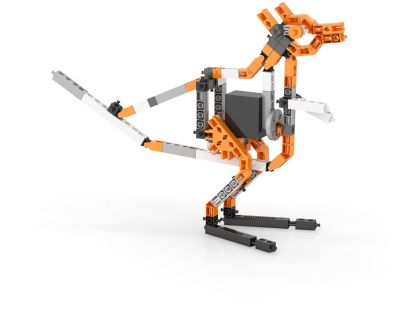 Engino Creative Builder 50 modelů s motorkem