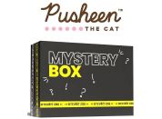 EPEE Mystery Box Pusheen