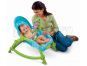 FISHER PRICE T4145 Přenosné sedátko od miminka po batole 4