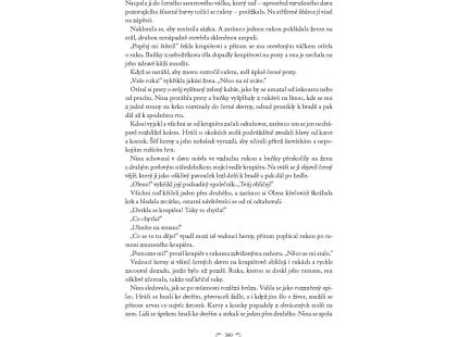 Fragment Prohnilé město