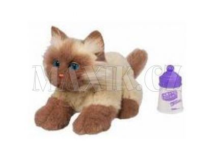 Furreal Friends Hravá kočička Hasbro