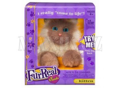 Furreal Friends Hravá kočička Hasbro