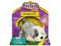 Furreal Friends Interaktivní zvířátka do dlaně - Pes šedobílý 25937 3