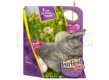Furreal Friends Interaktivní zvířátka domácí