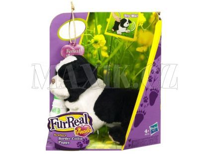 Furreal Friends Interaktivní zvířátka domácí