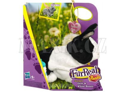 Furreal Friends Interaktivní zvířátka domácí