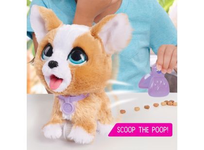 Furreal Friends Poop-a-Lots Corgi - Poškozený obal