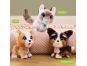 Furreal Friends Walk-a-Lots Bernadoodle 7