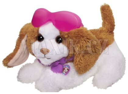 Furreal Friends Zvířátko se zkrášlovacími doplňky