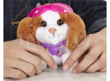 Furreal Friends Zvířátko se zkrášlovacími doplňky