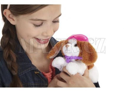 Furreal Friends Zvířátko se zkrášlovacími doplňky