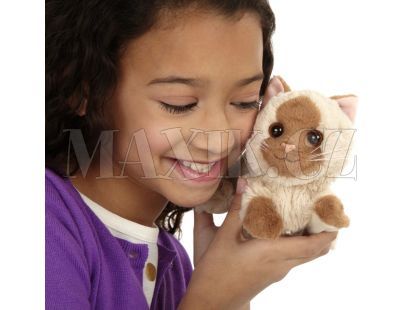 Furreal Friends Zvířátko se zkrášlovacími doplňky