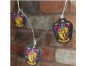 Groovy UK Limited Světla řetěz Harry Potter 1 Nebelvír 4