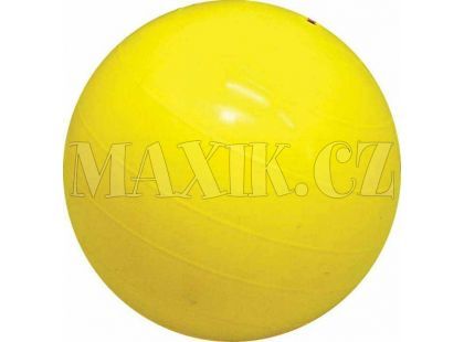 Gymnastický míč GIANT 750mm