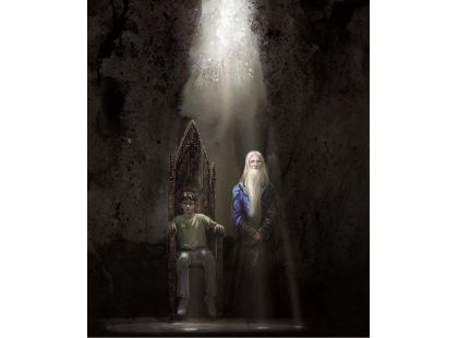 Harry Potter a Fénixův řád - ilustrované vydání J. K. Rowlingová - Poškozený obal