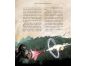 Harry Potter a Kámen mudrců - ilustrované vydání J. K. Rowlingová 2