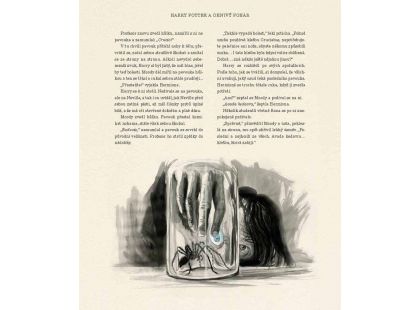 Harry Potter a Ohnivý pohár - ilustrované vydání J. K. Rowlingová
