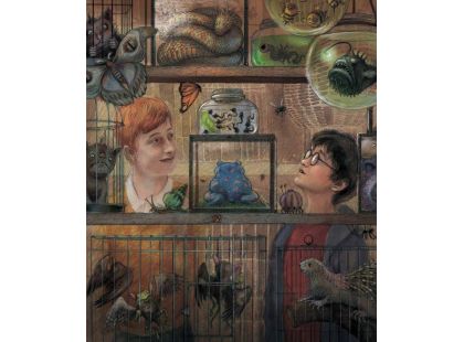 Harry Potter a vězeň z Azkabanu - ilustrované vydání J. K. Rowlingová - Poškozený obal