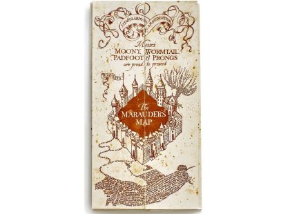 Harry Potter Pobertův tajný plánek