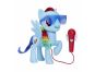 Hasbro My Little Pony Zpívající Rainbow Dash 2
