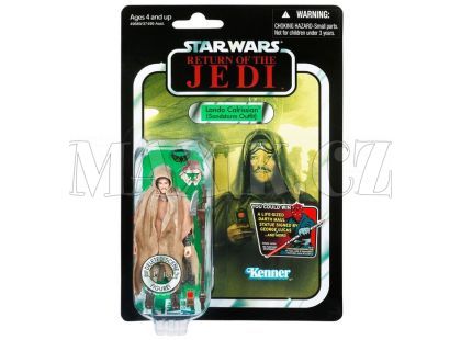 Hasbro Star Wars Speciální sběratelské figurky retro - Darth Maul
